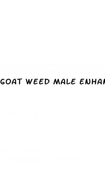 goat weed male enhancement reviews