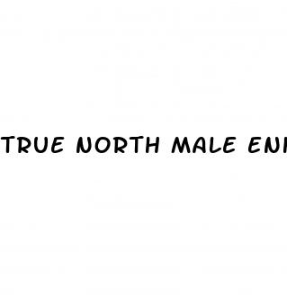 true north male enhancement gummies