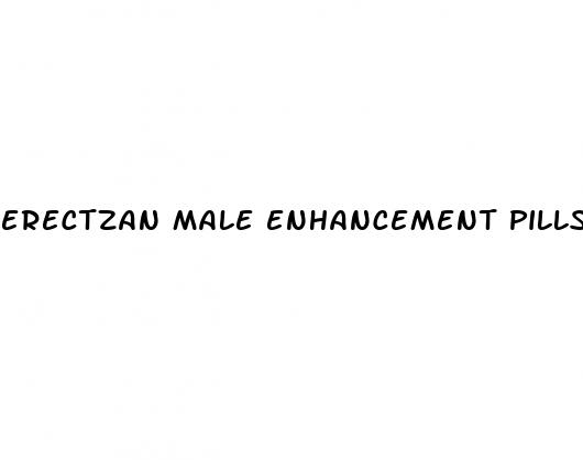 erectzan male enhancement pills