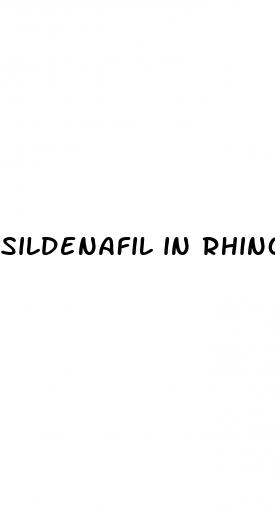 sildenafil in rhino pills