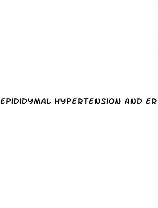 epididymal hypertension and erectile dysfunction