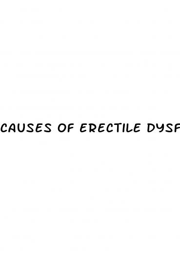 causes of erectile dysfunction in 20s