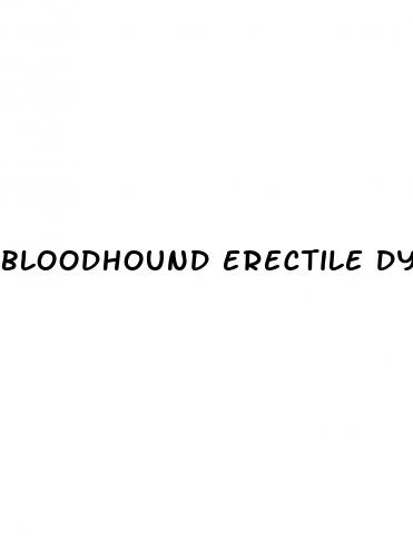 bloodhound erectile dysfunction