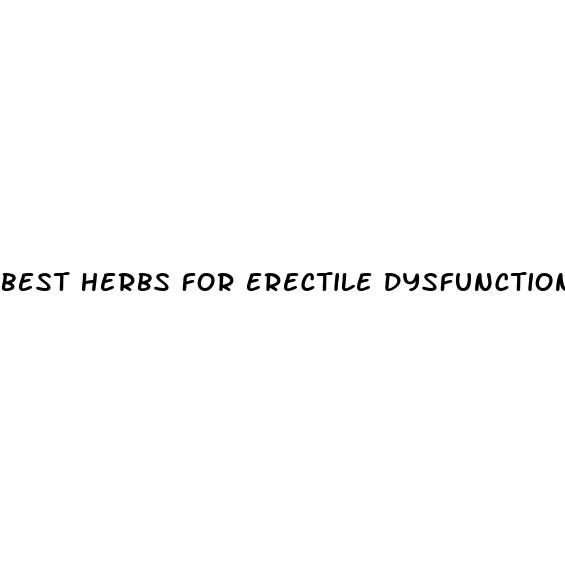 best herbs for erectile dysfunction