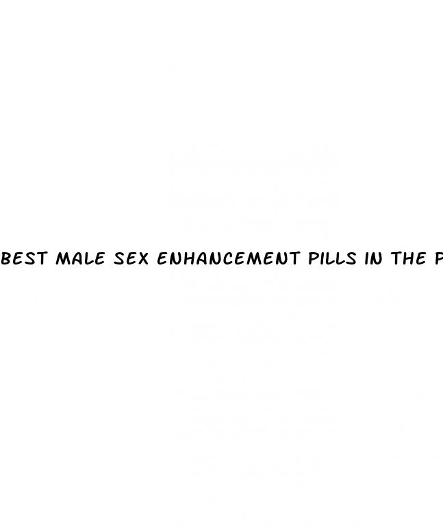 best male sex enhancement pills in the philippines